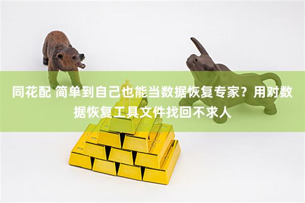 同花配 简单到自己也能当数据恢复专家？用对数据恢复工具文件找回不求人
