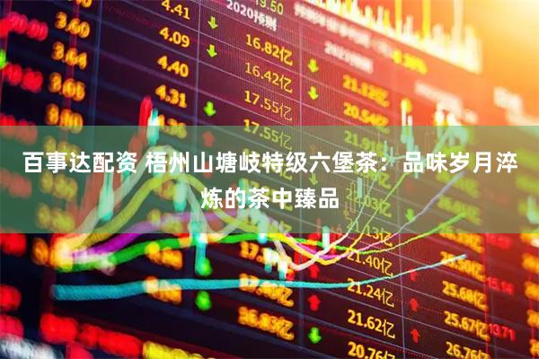 百事达配资 梧州山塘岐特级六堡茶：品味岁月淬炼的茶中臻品