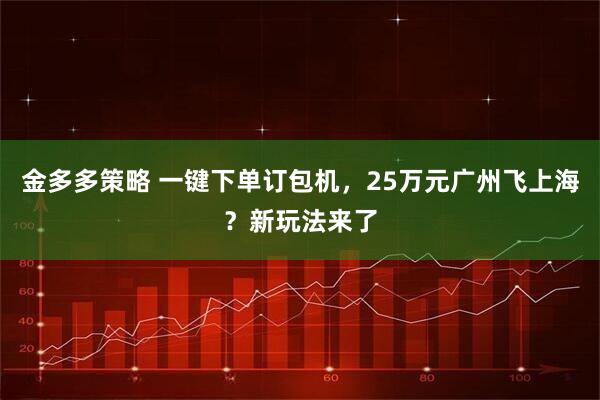金多多策略 一键下单订包机，25万元广州飞上海？新玩法来了