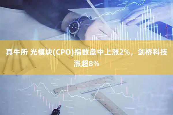 真牛所 光模块(CPO)指数盘中上涨2%，剑桥科技涨超8%